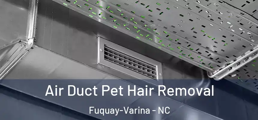  Air Duct Pet Hair Removal Fuquay-Varina - NC