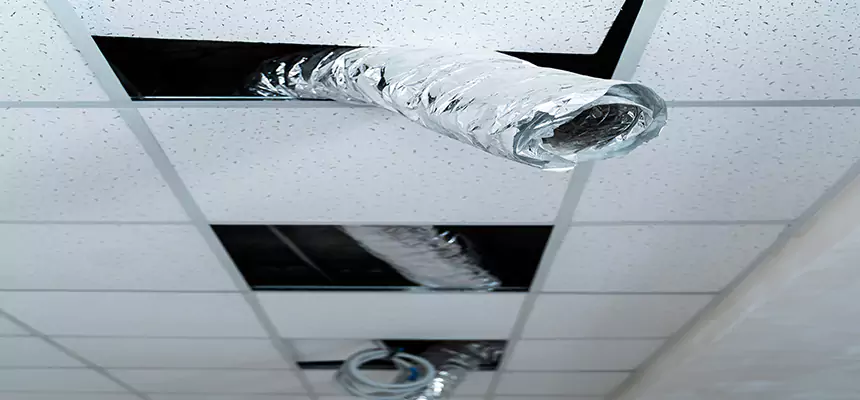 Affordable HVAC Sanitizing After Pest Removal in Fuquay-Varina