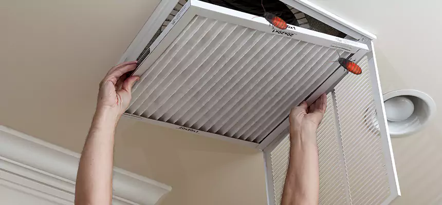 Our Insect Removal from Air Ducts Services in Fuquay-Varina, NC