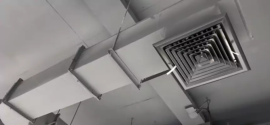 Our Pest Removal From Ducts Services in Fuquay-Varina, NC