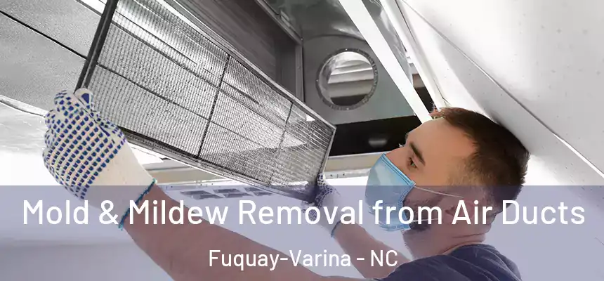  Mold & Mildew Removal from Air Ducts Fuquay-Varina - NC