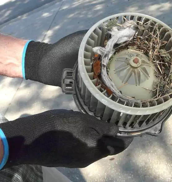 About Air Duct Mice Removal in Fuquay-Varina, NC