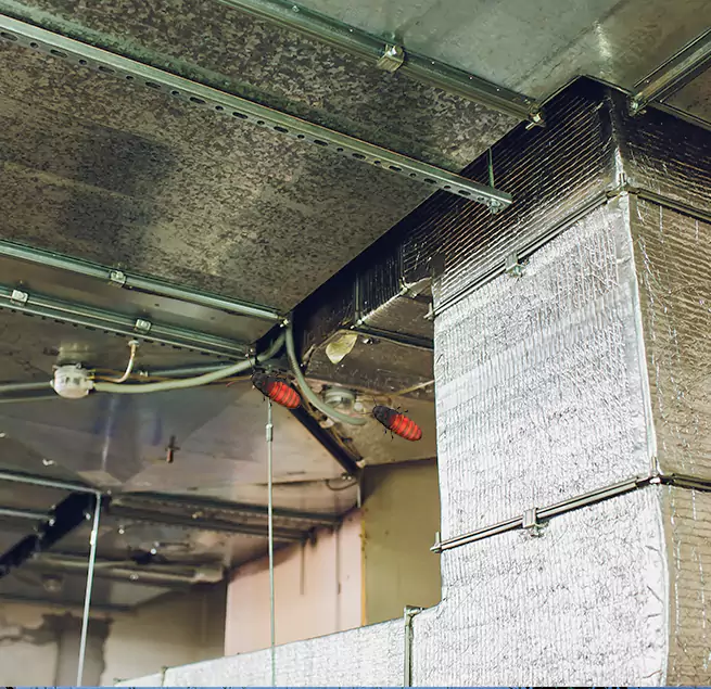 Why Homeowners & Businesses Trust Us in Fuquay-Varina, NC?