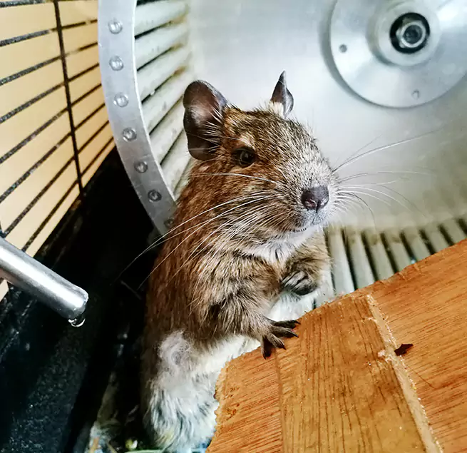 Why Homeowners & Businesses Trust Us Fuquay-Varina, NC