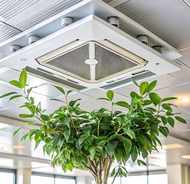 Why Homeowners & Businesses Trust Us in Fuquay-Varina, NC?